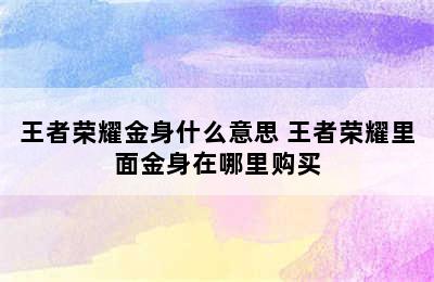 王者荣耀金身什么意思 王者荣耀里面金身在哪里购买